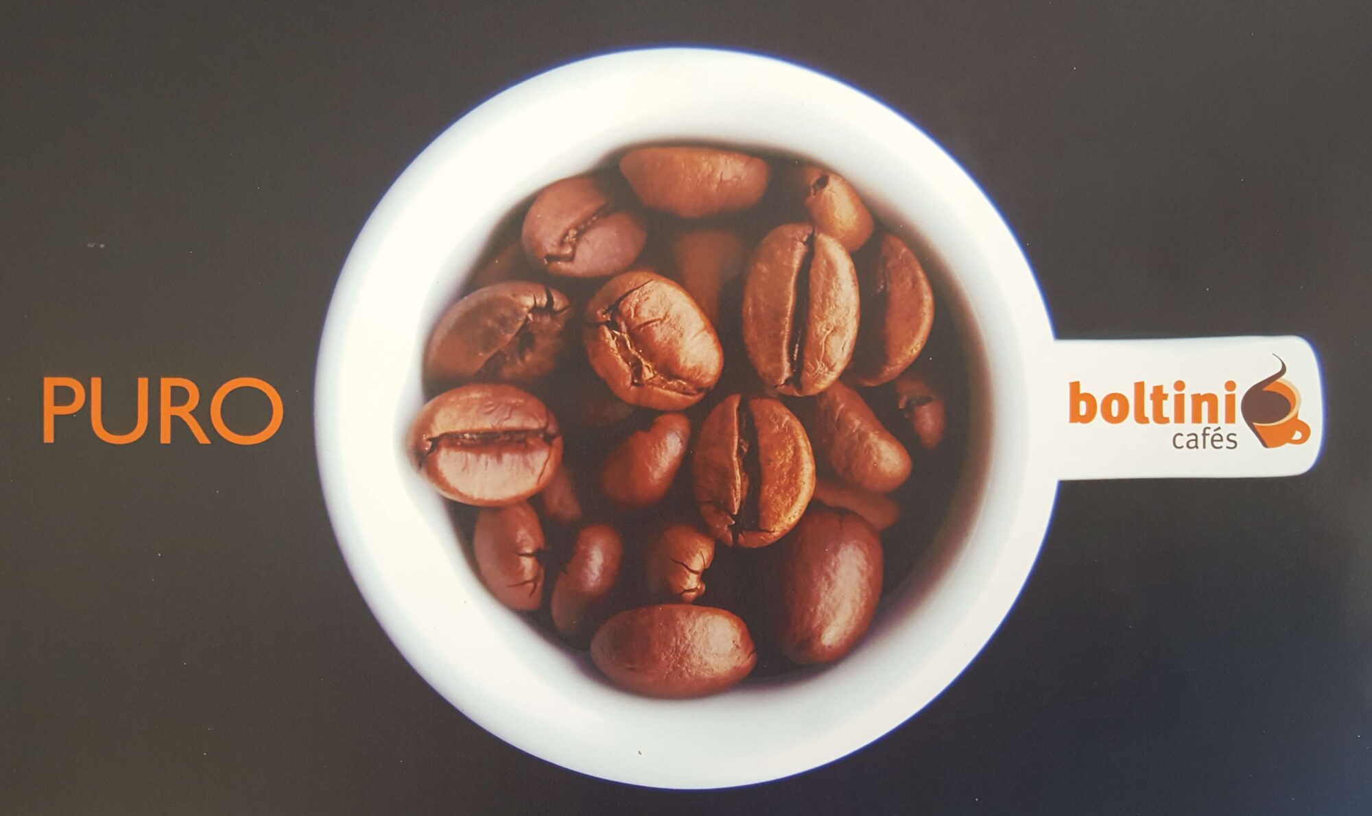Boltini